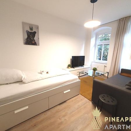 Ruhiges Hinterhof Apartment Im Herzen Der Neustadt Дрезден Екстериор снимка
